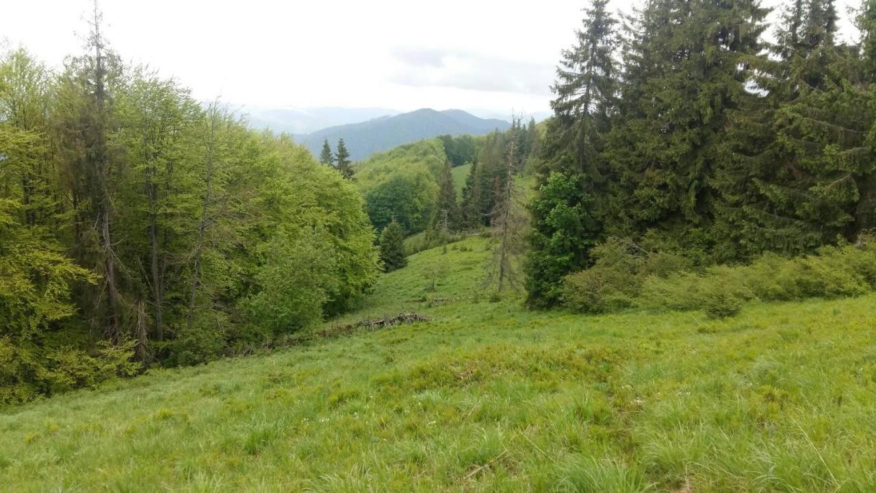 Лісовий Маєток Slavske Luaran gambar