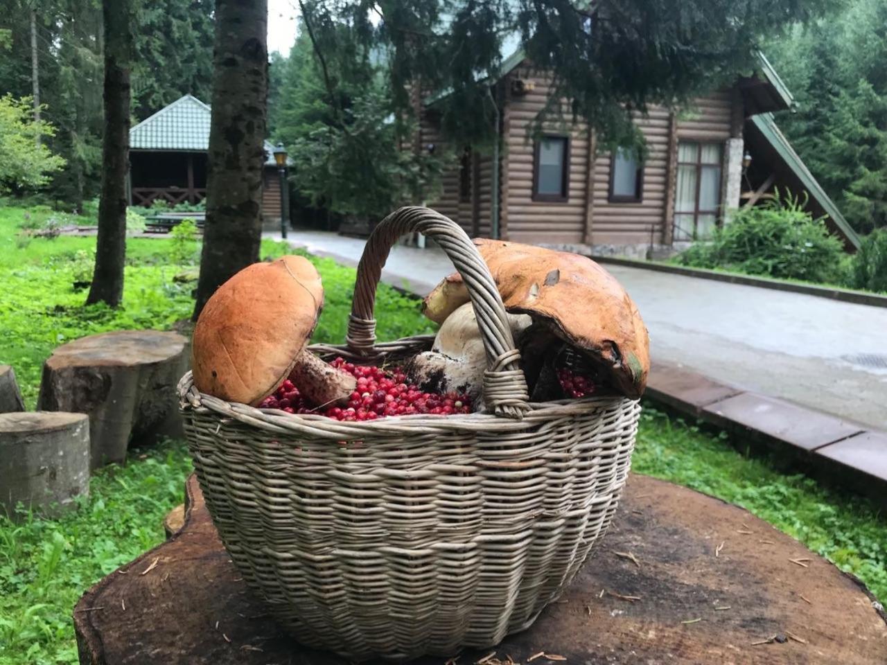 Лісовий Маєток Slavske Luaran gambar